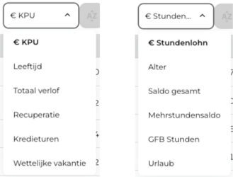 Urlaubssalden im Dienstplan